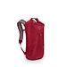 Transporter Roll Top WP 18 PoinsettiaRed