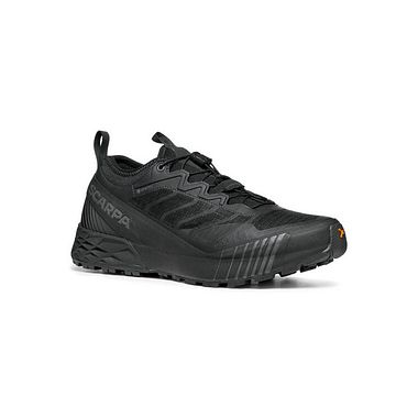 Ribelle Run Gtx Wmn Black/Black